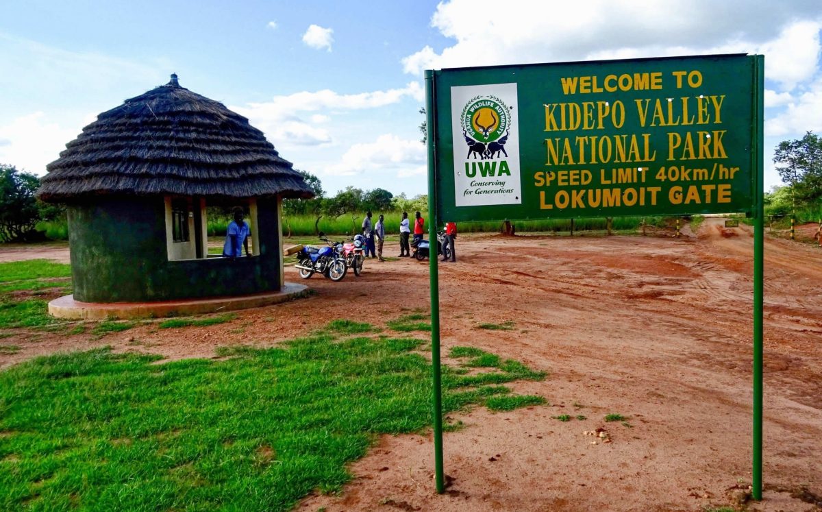 Car rental in Uganda offers affordable and reliable 4x4 vehicles for self-drive safaris, business trips, and cross-border travel. With unlimited mileage, full insurance, and pick-up in Entebbe, Kampala