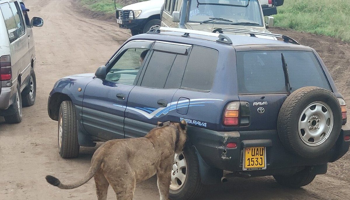 Looking to hire a car in Uganda for business, leisure, or safari travel? Uganda Car Rentals offers dependable self-drive and chauffeur-driven vehicles designed for Uganda’s diverse road conditions.