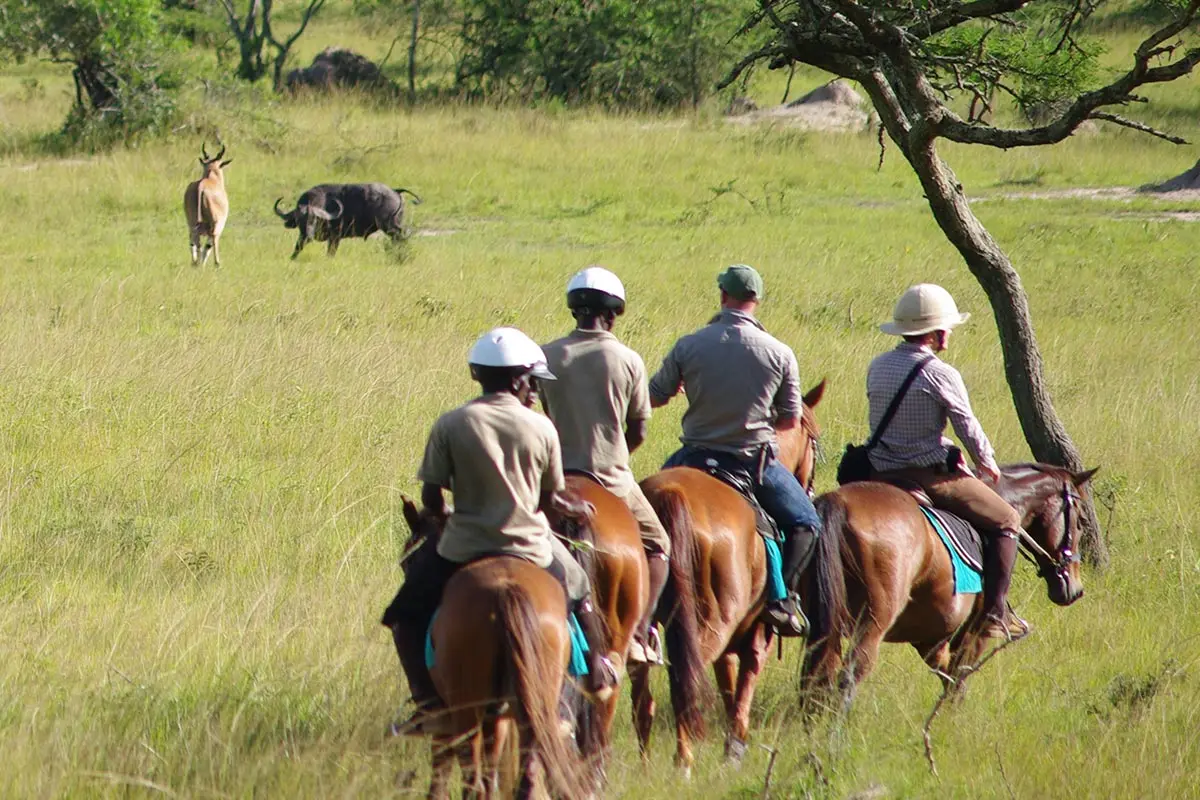 Lake Mburo National Park offers a relaxed and scenic safari experience with unique activities not found in many other Ugandan parks. Its accessibility, diverse wildlife,